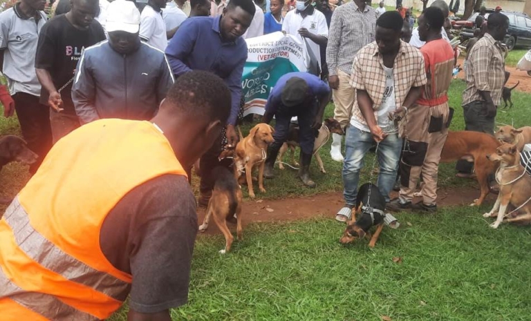 Community Rabies and Population Control 3