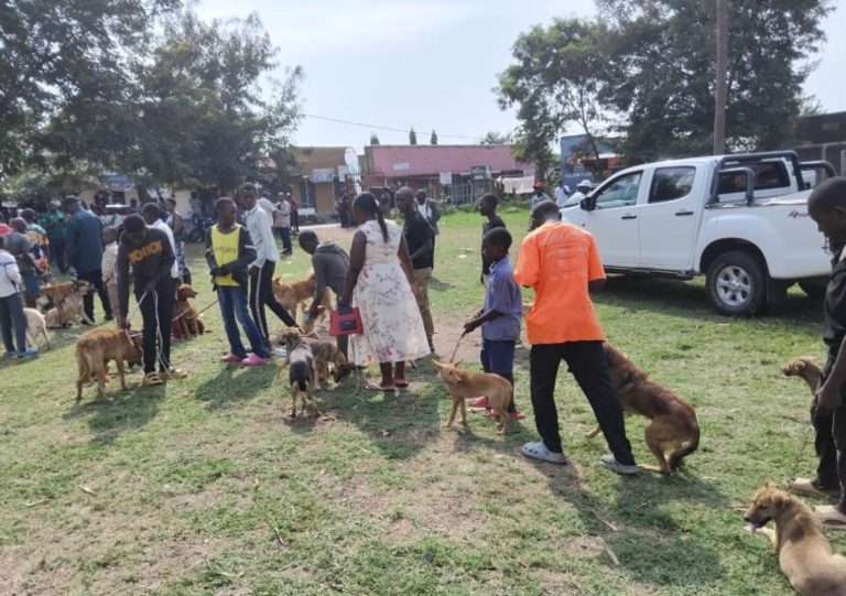 Community Rabies and Population Control 5