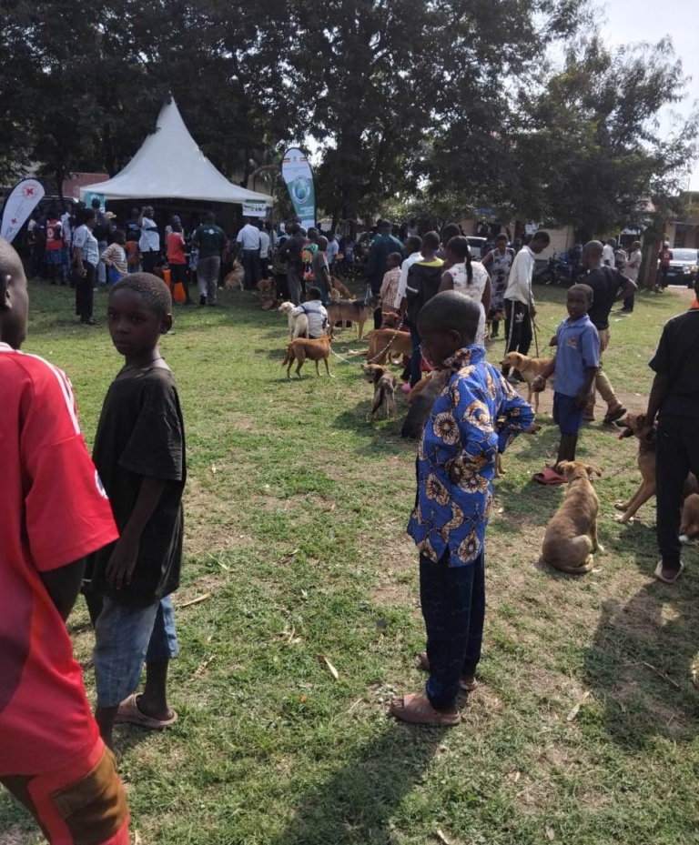 Community Rabies and Population Control 6
