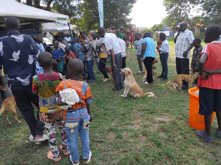 Community Rabies and Population Control 7