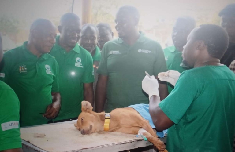 Community Rabies and Population Control 8